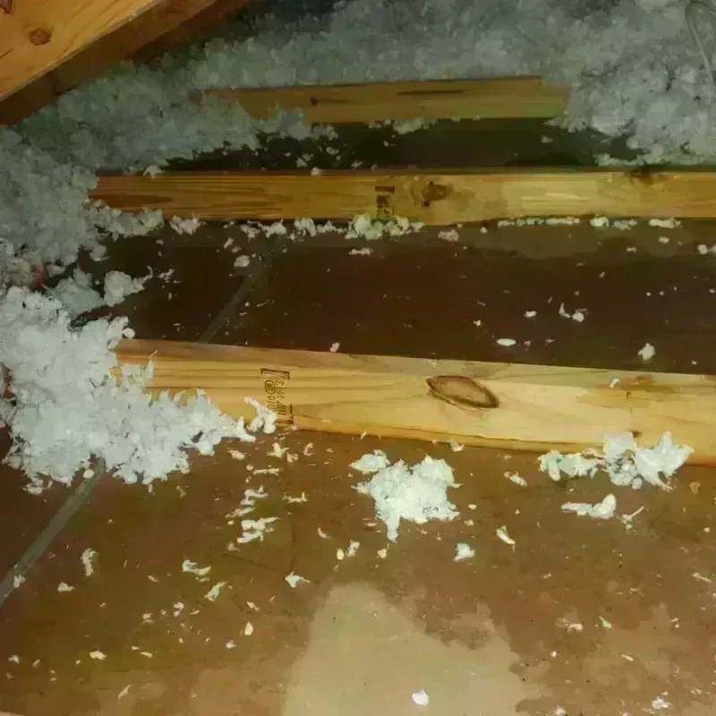 Attic Water Damage in West Mayfield, PA